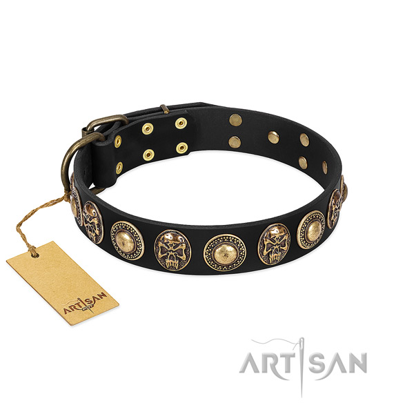 Adjustable full grain leather dog collar for basic training your pet