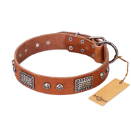 "Sparkling Skull" FDT Artisan Tan Leather English Pointer Collar with Old Silver Look Plates and Skulls