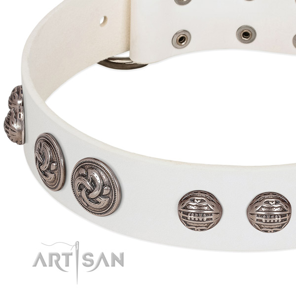 Reliable hardware on genuine leather collar for walking your doggie
