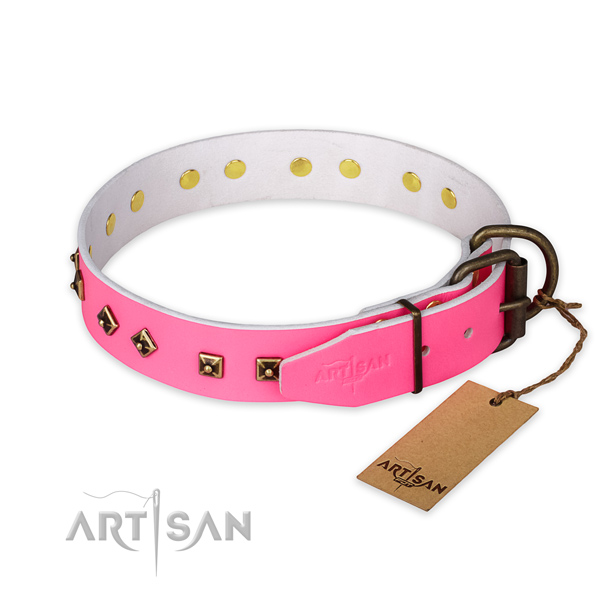 Reliable D-ring on natural leather collar for walking your four-legged friend