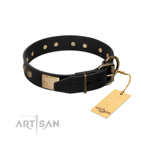 Corrosion resistant studs on comfortable wearing dog collar