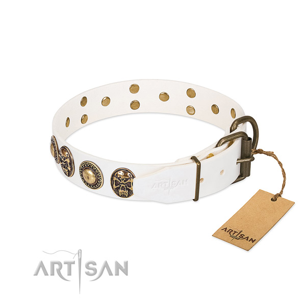 Rust-proof D-ring on comfy wearing dog collar