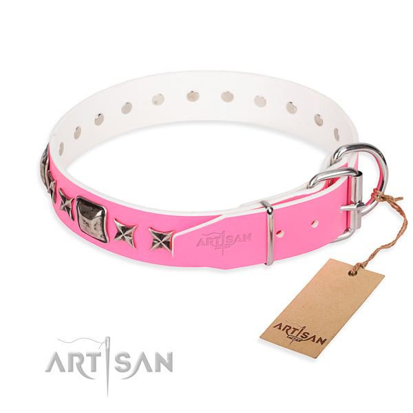 Fine quality studded dog collar of full grain leather