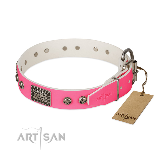 Reliable adornments on everyday walking dog collar