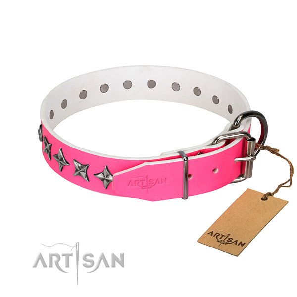 Top notch leather dog collar with designer studs