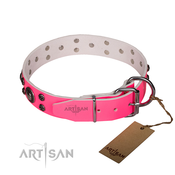 Everyday use embellished dog collar of high quality full grain natural leather