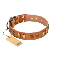 "Natural Beauty" FDT Artisan Tan Leather English Pointer Collar with Old Bronze-like Circles and Plates