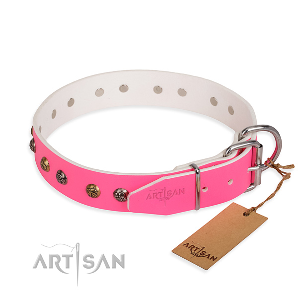 Full grain leather dog collar with fashionable durable embellishments