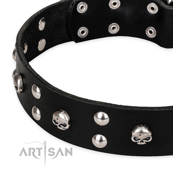 Walking adorned dog collar of fine quality full grain natural leather
