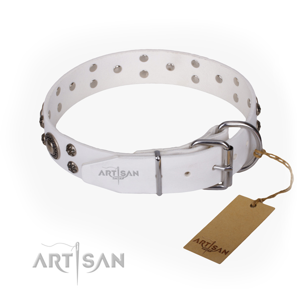 Everyday walking studded dog collar of reliable leather