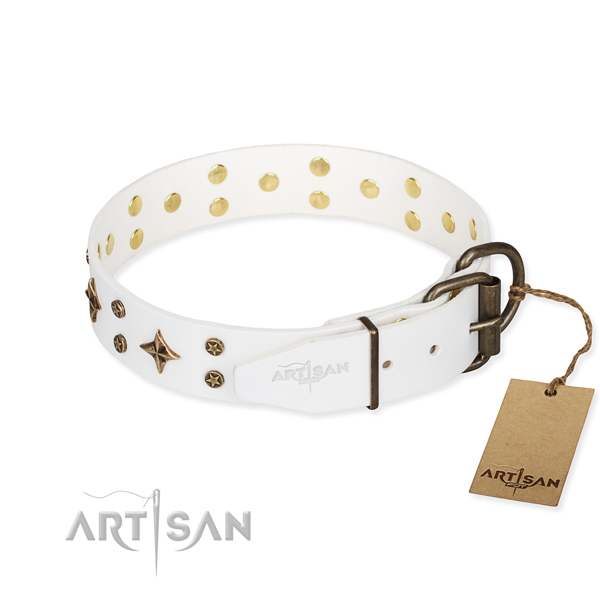 Comfy wearing studded dog collar of high quality leather