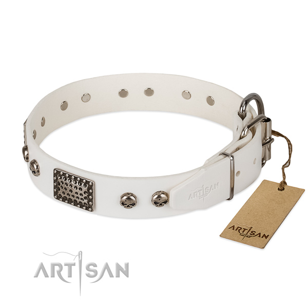 Strong decorations on comfy wearing dog collar