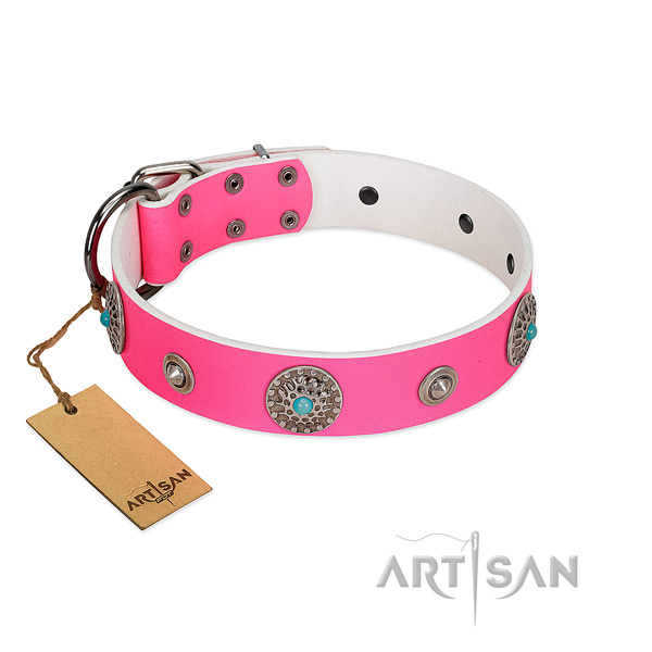 Durable full grain natural leather dog collar created for your pet