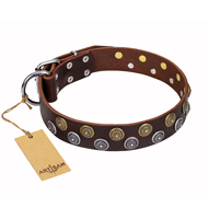 "Strong Shields" FDT Artisan leather English Pointer collar with stylish decorations