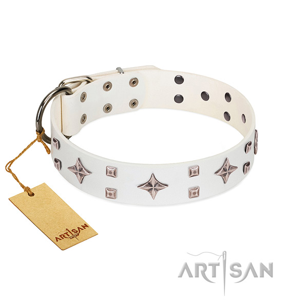 Adjustable natural leather dog collar with corrosion proof hardware