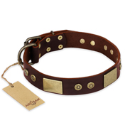"Shining Armour" FDT Artisan Brown Leather English Pointer Collar with Decorations