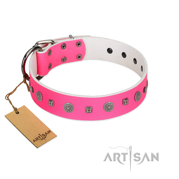 Daily walking quality full grain genuine leather dog collar with studs