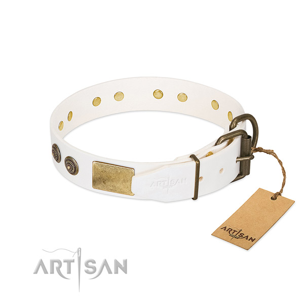Rust resistant fittings on genuine leather collar for stylish walking your doggie