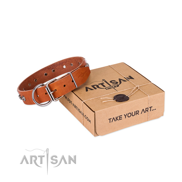 Corrosion proof decorations on dog collar for daily walking