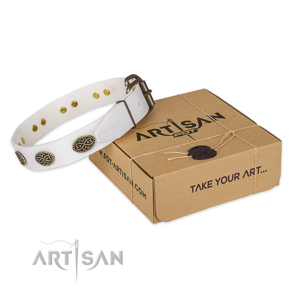 Durable fittings on full grain leather collar for your lovely pet