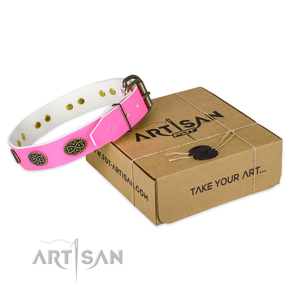 Rust-proof adornments on dog collar for everyday use