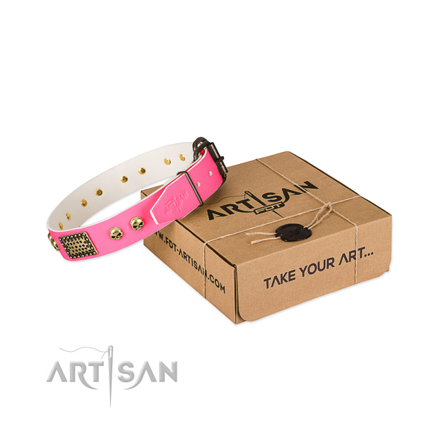 Rust-proof adornments on dog collar for stylish walking