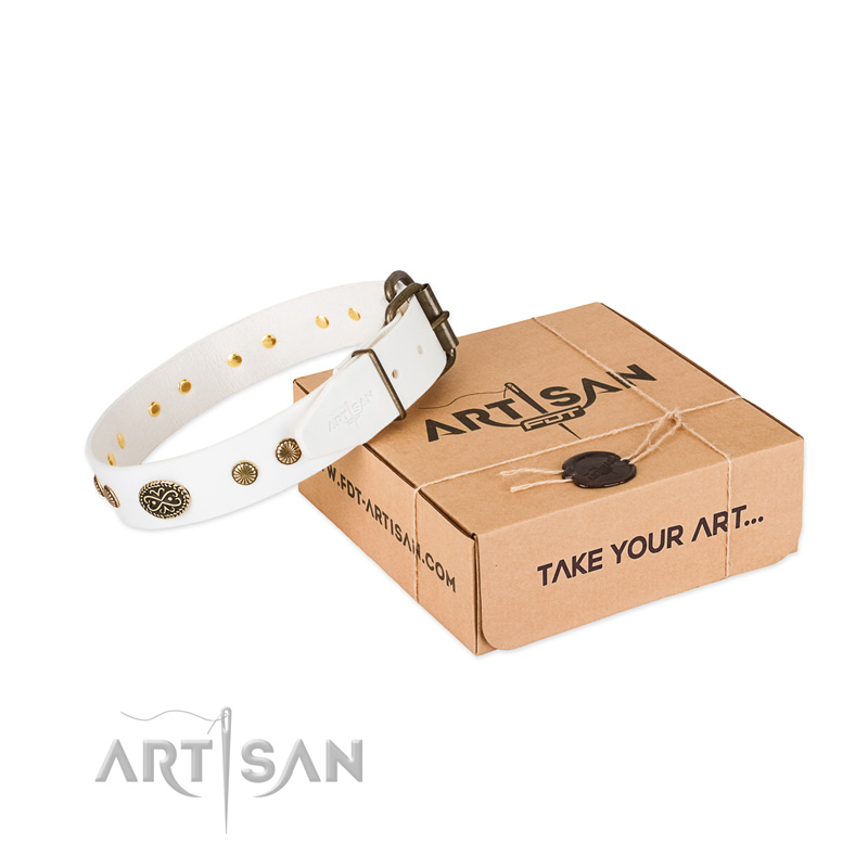 Strong studs on natural leather dog collar for your four-legged friend