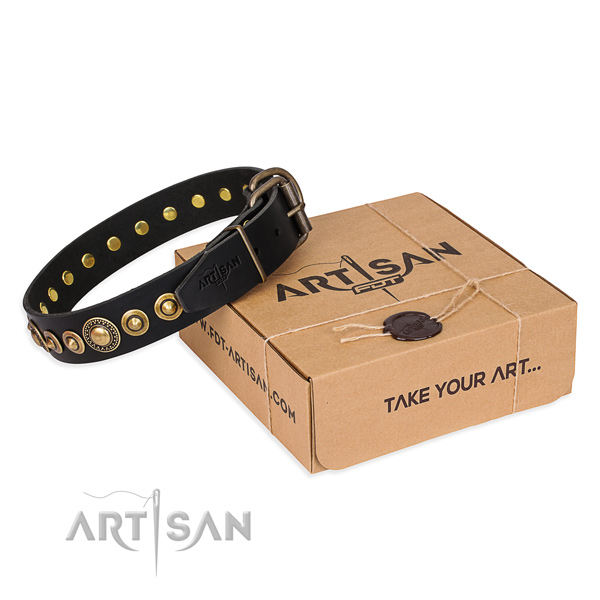 Flexible full grain leather dog collar created for walking