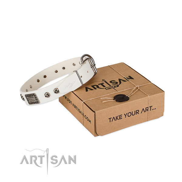 Rust resistant adornments on dog collar for daily use