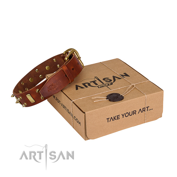 Easy wearing dog collar of best quality genuine leather with adornments