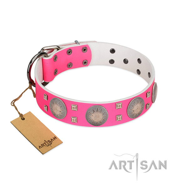 Remarkable full grain natural leather dog collar with reliable D-ring