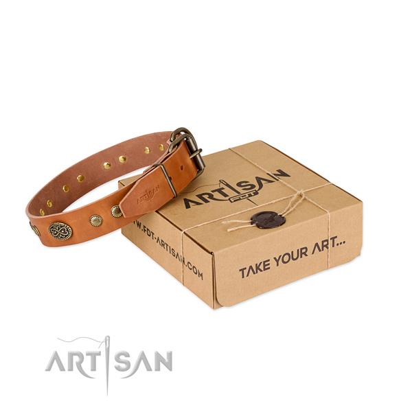 Corrosion proof studs on genuine leather dog collar for your doggie