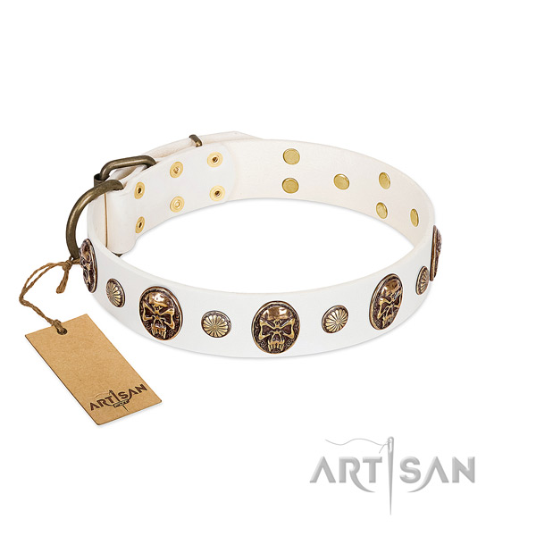 Fashionable full grain natural leather dog collar for basic training