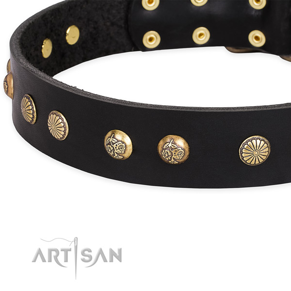 Full grain natural leather collar with rust-proof traditional buckle for your stylish dog