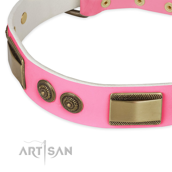 Full grain leather dog collar with embellishments for everyday use