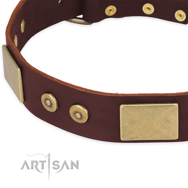 Full grain leather dog collar with embellishments for everyday use