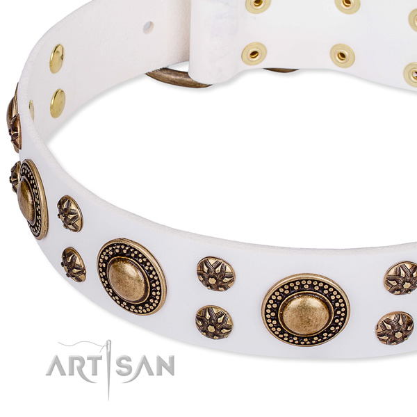 Handy use studded dog collar of top notch full grain genuine leather
