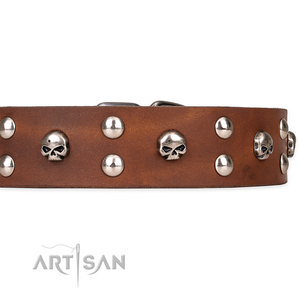 Basic training studded dog collar of top notch full grain genuine leather