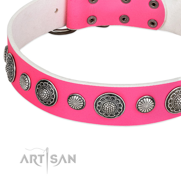 Leather collar with strong traditional buckle for your impressive doggie