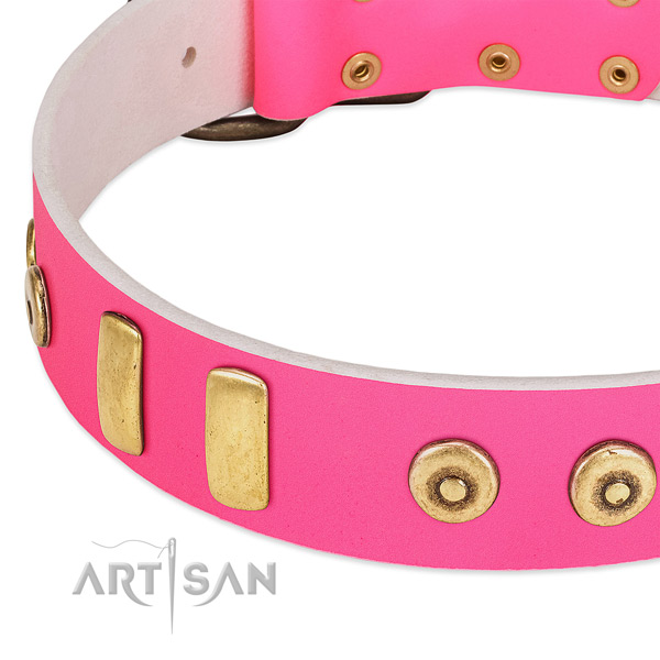 Full grain genuine leather dog collar with adornments for handy use