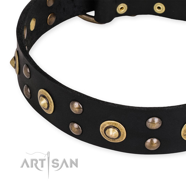 Full grain genuine leather collar with rust resistant buckle for your handsome doggie