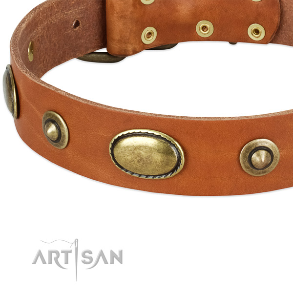 Reliable traditional buckle on genuine leather dog collar for your pet