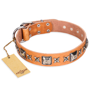 "Glamour Finery" FDT Artisan Female English Pointer collar of natural leather with stylish old-looking circles