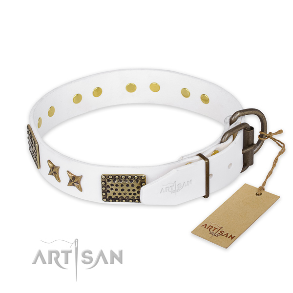 Corrosion resistant fittings on full grain genuine leather collar for your attractive canine