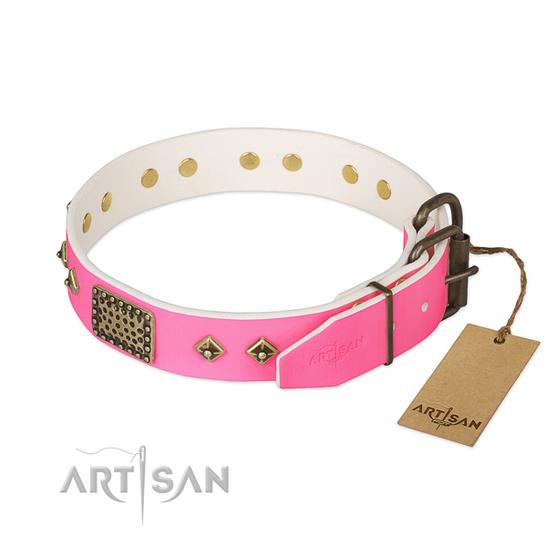 Strong decorations on handy use dog collar