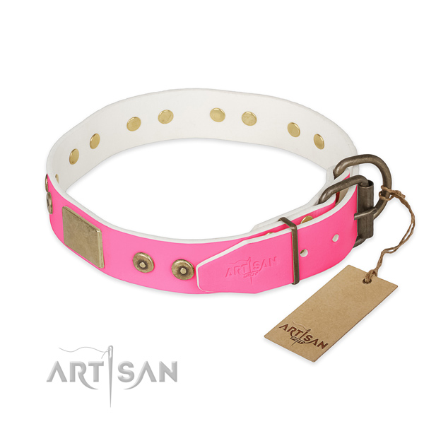 Rust-proof studs on comfy wearing dog collar