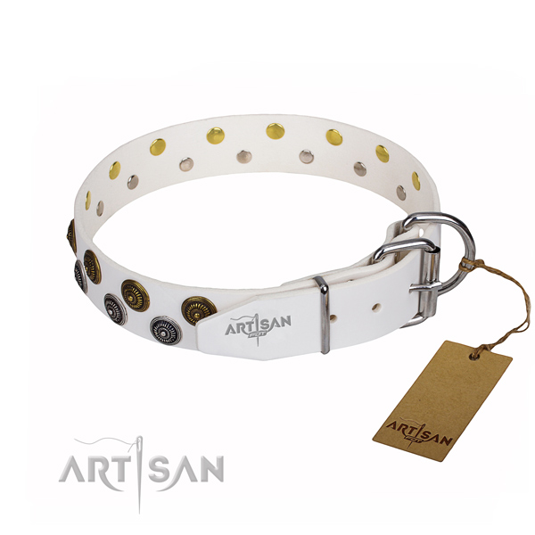 Comfy wearing decorated dog collar of reliable full grain leather