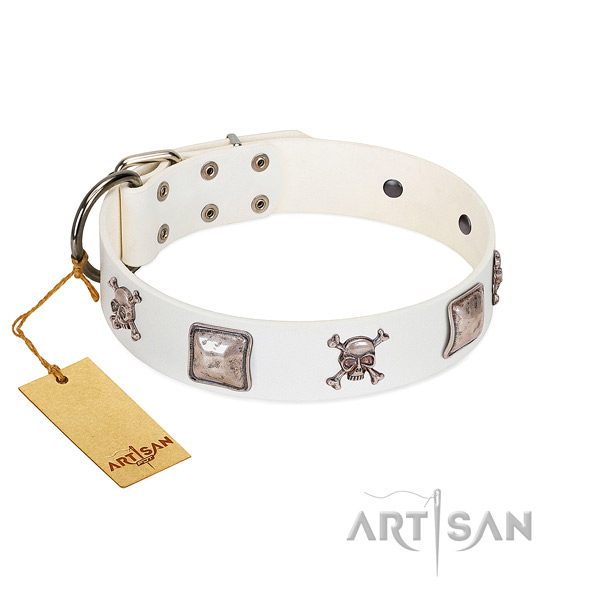 Studded genuine leather collar for your attractive canine