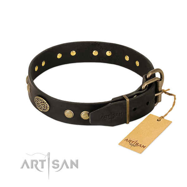 Corrosion resistant embellishments on leather dog collar for your dog