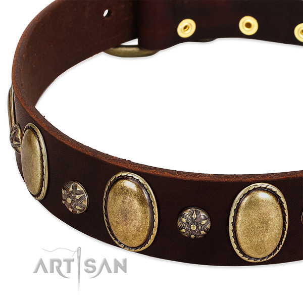 Daily walking high quality full grain genuine leather dog collar